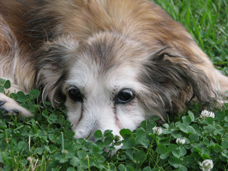 We love and miss you